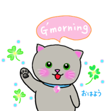 colorful color cats (English version) sticker #10265856