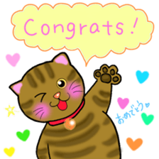 colorful color cats (English version) sticker #10265857