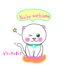colorful color cats (English version) sticker #10265858