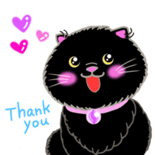 colorful color cats (English version) sticker #10265861
