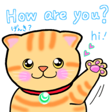 colorful color cats (English version) sticker #10265862
