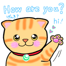 colorful color cats (English version) sticker #10265862