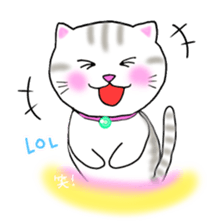 colorful color cats (English version) sticker #10265864