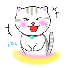 colorful color cats (English version) sticker #10265864