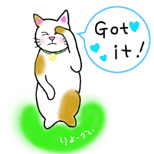 colorful color cats (English version) sticker #10265865