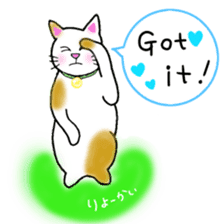 colorful color cats (English version) sticker #10265865