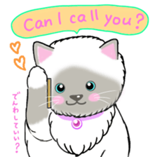 colorful color cats (English version) sticker #10265870