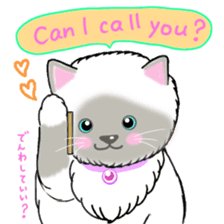 colorful color cats (English version) sticker #10265870