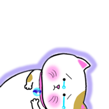 colorful color cats (English version) sticker #10265879