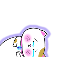 colorful color cats (English version) sticker #10265879