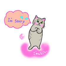 colorful color cats (English version) sticker #10265880