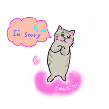 colorful color cats (English version) sticker #10265880