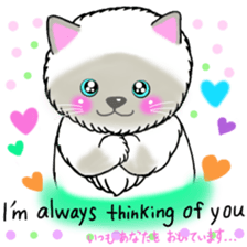 colorful color cats (English version) sticker #10265895