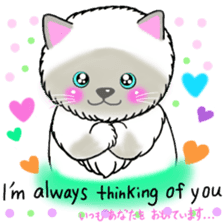 colorful color cats (English version) sticker #10265895