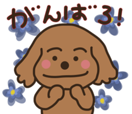 toy-poodle KEY3 sticker #10266786