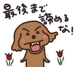 toy-poodle KEY3 sticker #10266801