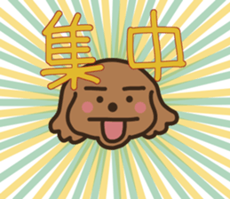 toy-poodle KEY3 sticker #10266804