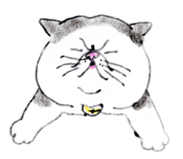 Kansai dialect chubby cat sticker2 sticker #10268378