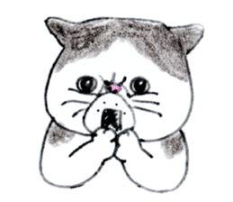 Kansai dialect chubby cat sticker2 sticker #10268383