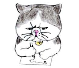 Kansai dialect chubby cat sticker2 sticker #10268401