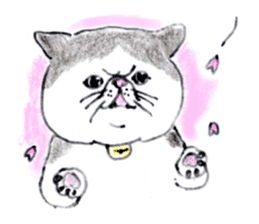 Kansai dialect chubby cat sticker2 sticker #10268411