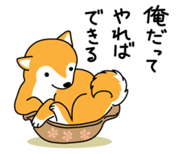 Red Shiba dog teacher. sticker #10269576