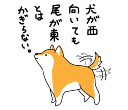 Red Shiba dog teacher. sticker #10269577