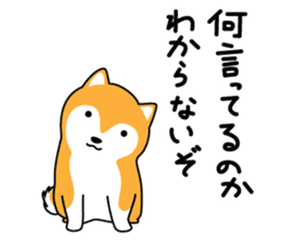 Red Shiba dog teacher. sticker #10269578