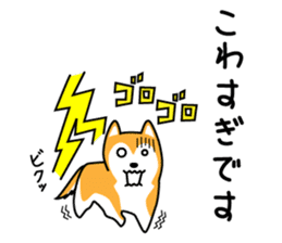 Red Shiba dog teacher. sticker #10269580