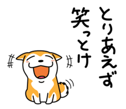 Red Shiba dog teacher. sticker #10269581