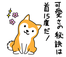 Red Shiba dog teacher. sticker #10269583