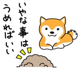 Red Shiba dog teacher. sticker #10269584