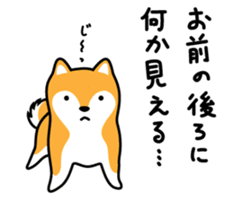 Red Shiba dog teacher. sticker #10269585
