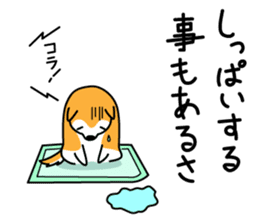 Red Shiba dog teacher. sticker #10269593