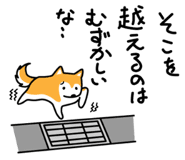 Red Shiba dog teacher. sticker #10269595