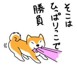 Red Shiba dog teacher. sticker #10269596