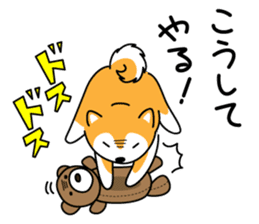 Red Shiba dog teacher. sticker #10269600