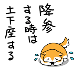 Red Shiba dog teacher. sticker #10269601