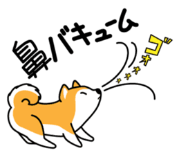 Red Shiba dog teacher. sticker #10269603