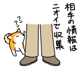 Red Shiba dog teacher. sticker #10269604
