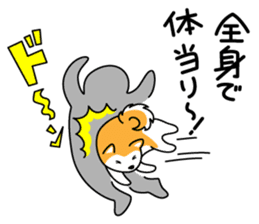 Red Shiba dog teacher. sticker #10269605