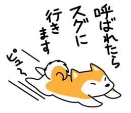 Red Shiba dog teacher. sticker #10269607