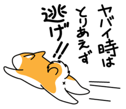 Red Shiba dog teacher. sticker #10269608