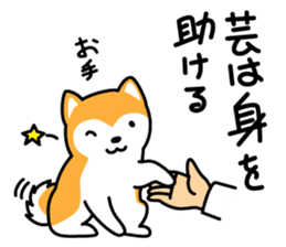 Red Shiba dog teacher. sticker #10269610