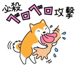 Red Shiba dog teacher. sticker #10269612