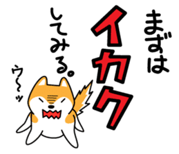 Red Shiba dog teacher. sticker #10269613