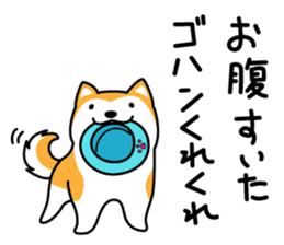 Red Shiba dog teacher. sticker #10269614