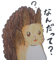 Scriurus vulgaris orientis's sticker #10270873