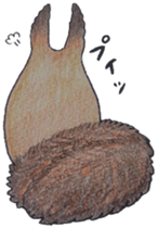 Scriurus vulgaris orientis's sticker #10270876