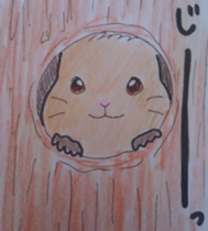 Scriurus vulgaris orientis's sticker #10270886